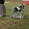 foire-haricots 2011-09-17et18